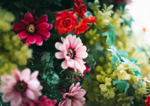 Bouquets de roses hybrides rouges à faire soi-même : Élevez votre maison avec de élégantes compositions florales